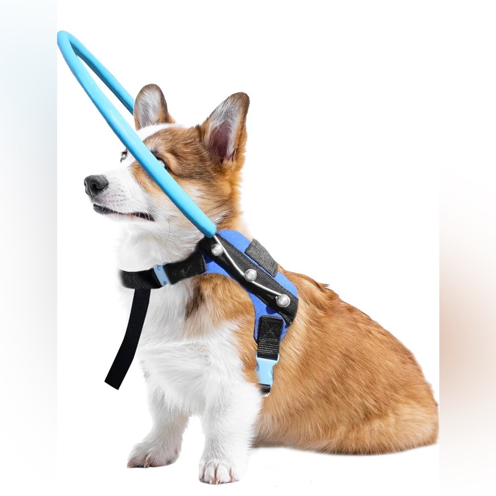Blue and Black Dog Harness for Corgis